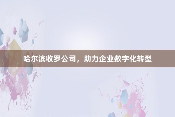 哈尔滨收罗公司，助力企业数字化转型